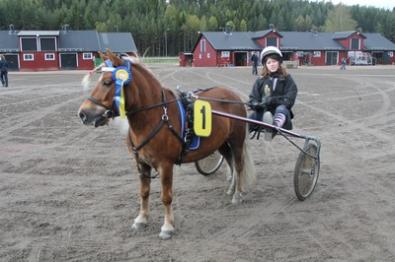 Full fart på Årjängs Travskola